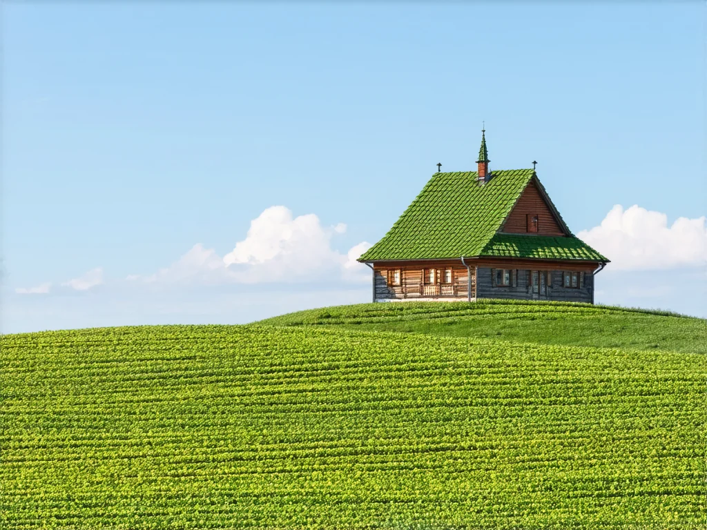 Jak si vytvořit domácí herbář pro vaření