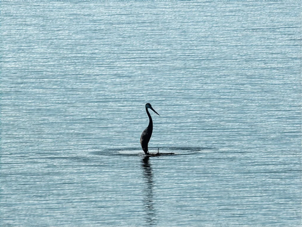 Jak si vytvořit vlastní zdravou verzi oblíbeného dezertu?