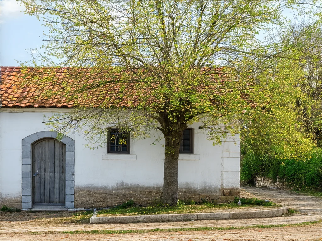 Probuďte své chuťové pohárky: experimentujte se vzácnými kořeními