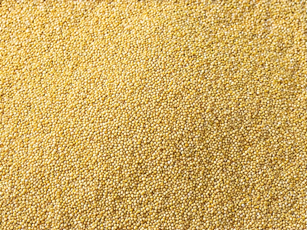 Proč byste měli milovat quinou: Výživné superpotraviny, které vám změní život