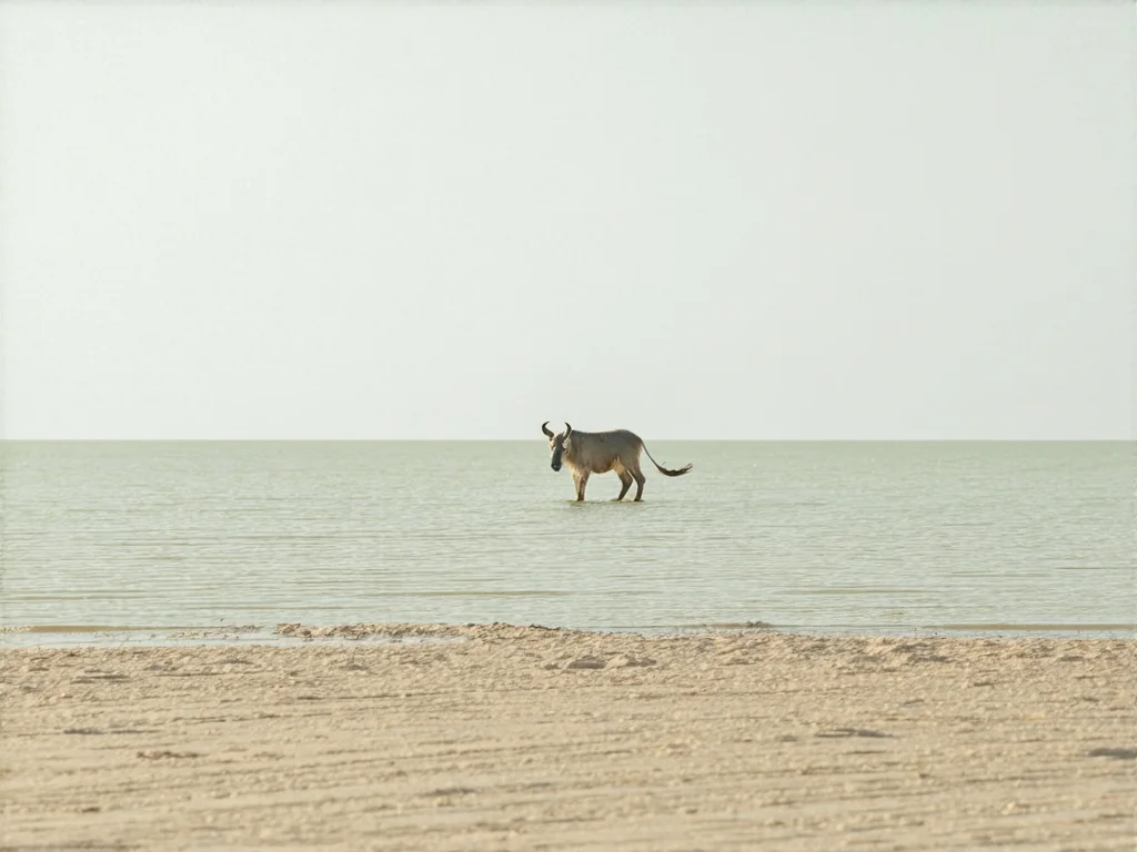 Prozkoumejte svět ořechů a semínek: Jak je začlenit do vašeho jídelníčku pro maximální prospěch