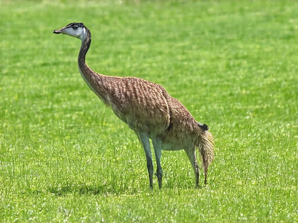 Superpotraviny pro krásné vlasy: Získejte zářivé a zdravé vlasy přirozenou cestou