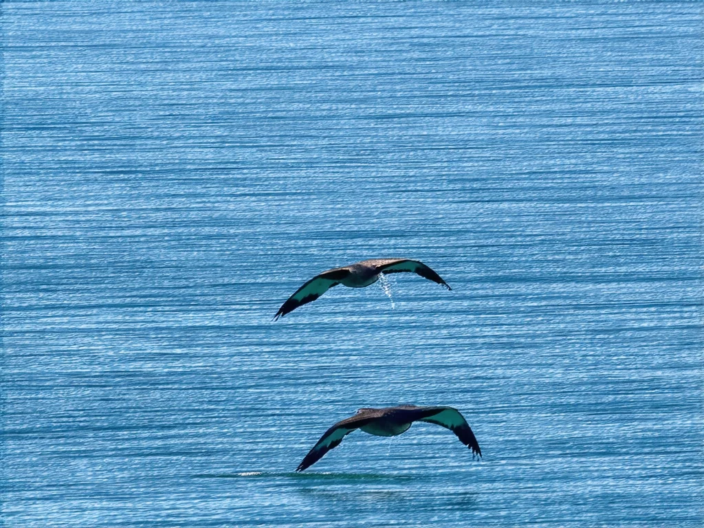 Superpotraviny pro zdravé srdce: objevte tajemství dlouhověkosti