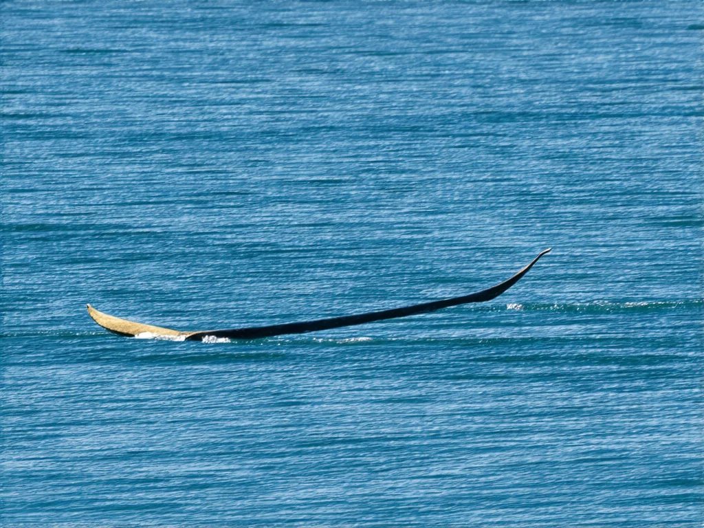 Superpotraviny z Amazonského deštného pralesa: objevte jejich moc